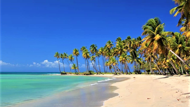 Dominican Republic Travel: What You Need to Know for 2022 Click Find